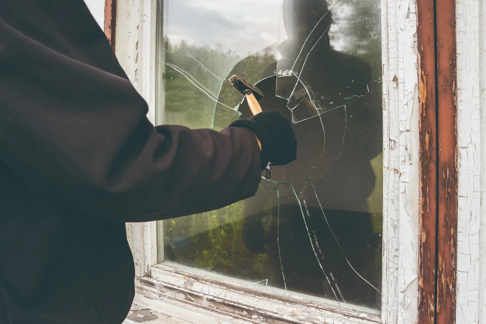 GW中の留守番役に！